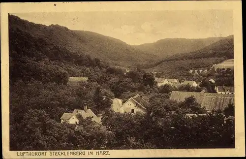 Ak Stecklenberg Thale im Harz, Teilansicht