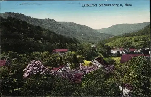 Ak Stecklenberg Thale im Harz, Teilansicht