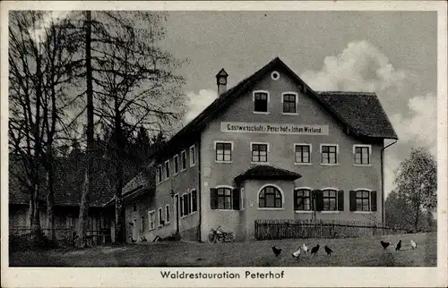 Ak Gersthofen in Schwaben, Waldrestauration Peterhof