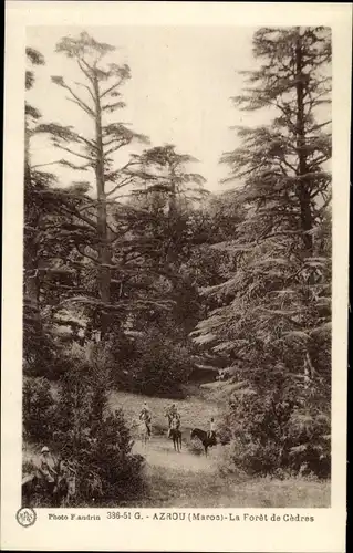 Ak Azrou Marokko, La Foret de Cedres