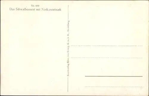 Künstler Ak Hoffmann, H., Neckarsteinach in Hessen, Schwalbennest mit Ortsansicht