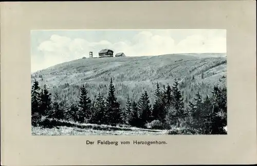 Ak Bernau im Schwarzwald, Der Feldberg vom Herzogenhorn aus gesehen