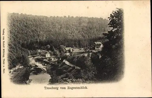 Ak Treseburg Thale im Harz, Panorama vom Regentenblick aus