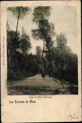 Ak Obourg Mons Wallonien Hennegau, le Bois