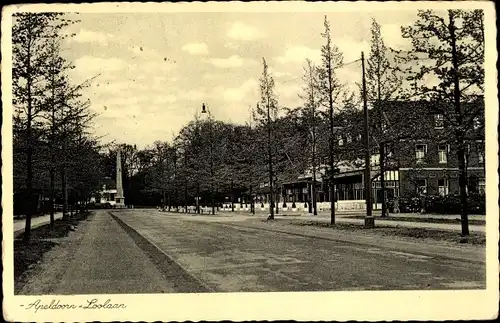 Ak Apeldoorn Gelderland, Loolaan