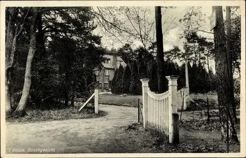 Ak Joppe Gelderland, Boschgezicht