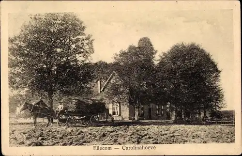 Ak Ellecom Ellekom Gelderland, Carolinahoeve