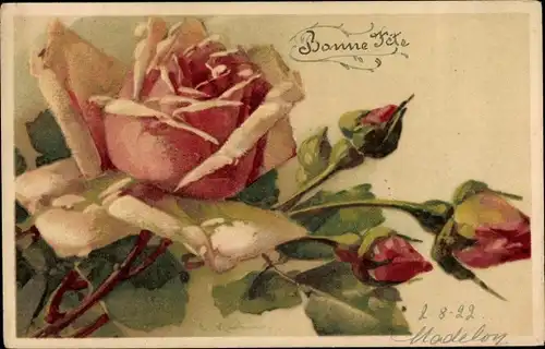 Künstler Litho Klein, Catharina, rosa Rosen