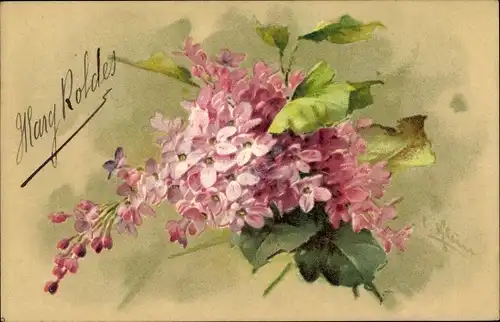 Künstler Ak Klein, Catharina, rosa Blüten