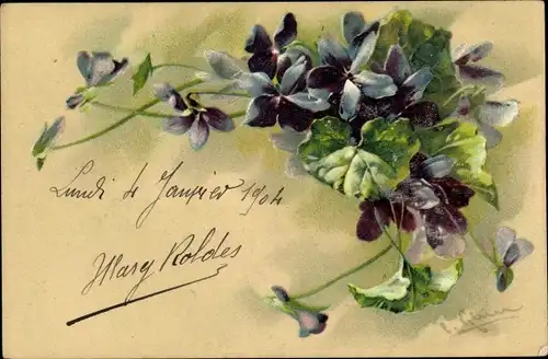 Künstler Ak Klein, Catharina, Veilchen