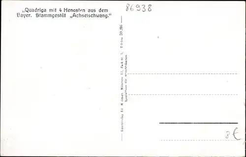 Ak Quadriga mit 4 Hengsten aus dem Bayrischen Stammgestüt Achselschwang