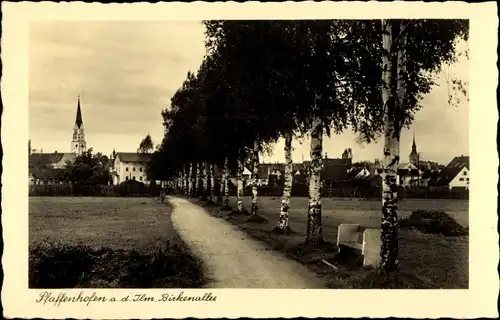 Ak Pfaffenhofen an der Ilm Oberbayern, Birkenallee