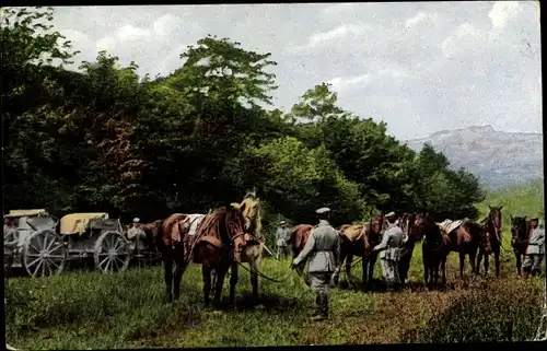 Ak Artillerie-Bespannung und Munitionskolonne in Deckung, Kaiserzeit