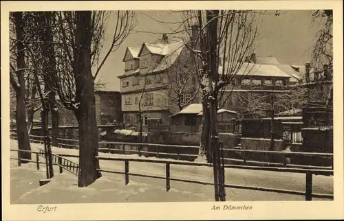 Ak Erfurt in Thüringen, Am Dämmchen, Winter