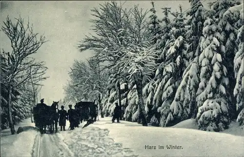 Ak Nationalpark Harz, Winterlandschaft mit Schlittengespannen