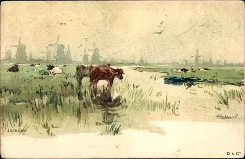 Künstler Ak Cassiers, Henri, Zaandam Zaanstad Nordholland, Kühe, Windmühlen