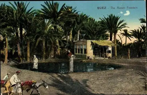 Ak Suez Ägypten, The Moses Fountain, Quelle, Palmen