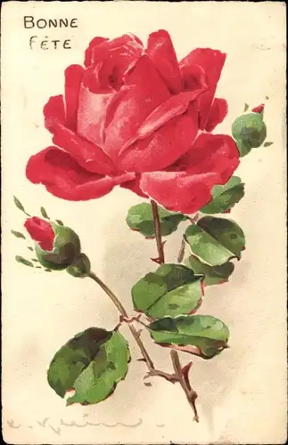 Künstler Litho Klein, Catharina, rote Rose