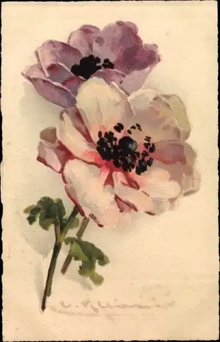 Künstler Litho Klein, Catharina, Anemonen