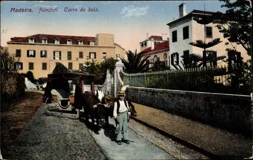 Ak Funchal Insel Madeira Portugal, Carro de bois, Männer mit Ochsenschlitten
