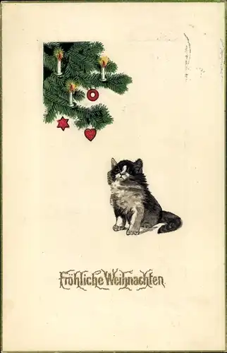 Ak Glückwunsch Weihnachten, Katze, Tannenbaum