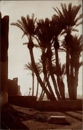 Ak Fès Fez Marokko, Tombeau du Sultan