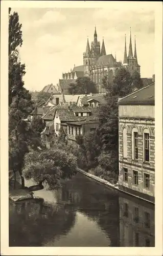 Ak Erfurt in Thüringen, Partie an der Gera mit Blick zum Dom und Severikirche