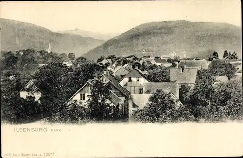 Ak Ilsenburg am Nordharz, Panorama