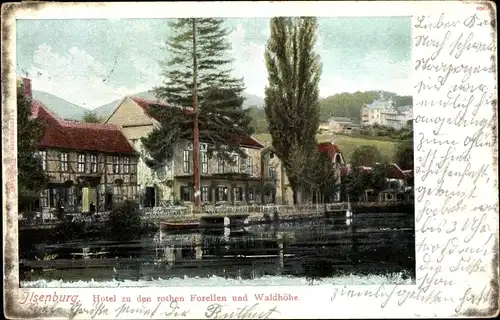 Ak Ilsenburg im Harz, Hotel zu den rothen Forellen und Waldhöhe