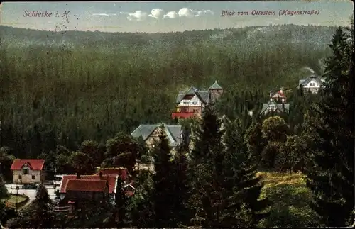 Ak Schierke Wernigerode im Harz, Blick vom Ottostein, Hagenstraße