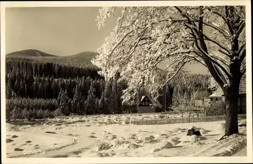 Ak Schierke Wernigerode im Harz, Winterlandschaft, Panorama