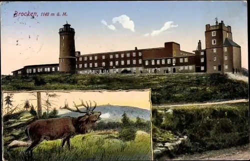 Ak Brocken Nationalpark Harz, am Gipfel, Aussichtsturm, Brocken Hotel, Hirsch