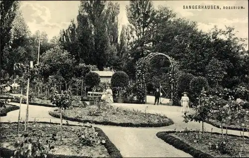 Ak Sangerhausen am Südharz, Rosarium