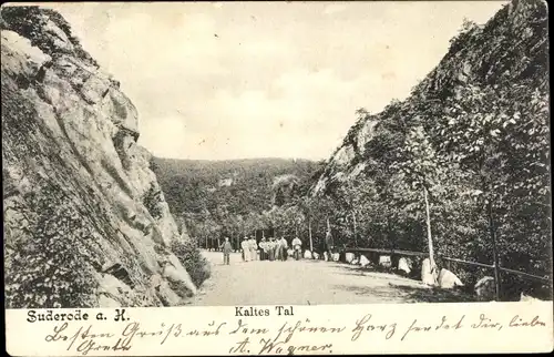 Ak Bad Suderode Quedlinburg im Harz, Kaltes Tal