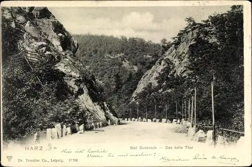 Ak Bad Suderode Quedlinburg im Harz, Das Kalte Tal