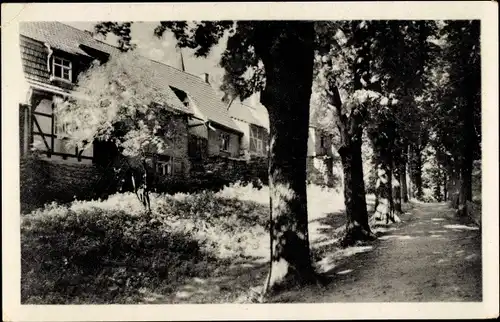 Ak Heilbad Heiligenstadt Eichsfeld Thüringen, Partie an der Scheuche