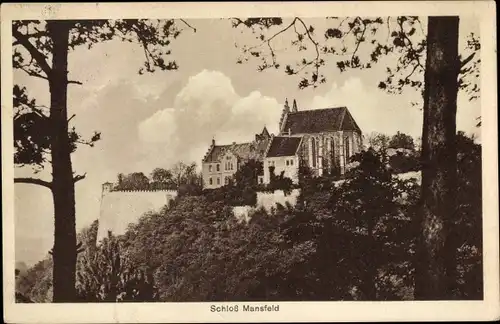 Ak Mansfeld Sachsen Anhalt, Schloss Mansfeld