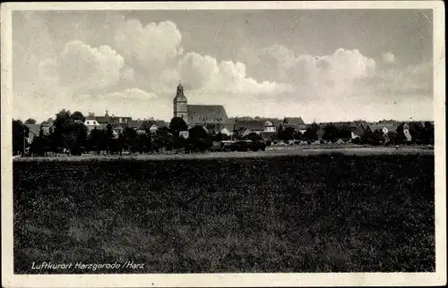 Ak Harzgerode am Harz, Panorama