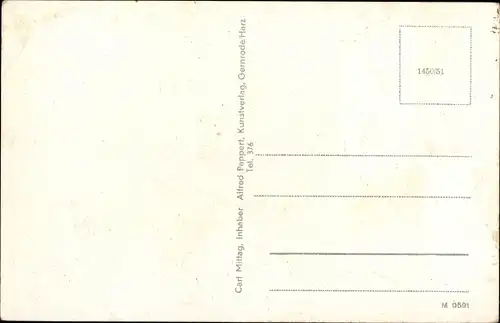 Ak Harzgerode am Harz, Panorama