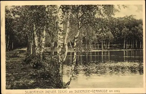 Ak Bad Suderode Quedlinburg im Harz, Silberteich, Neuer Teich