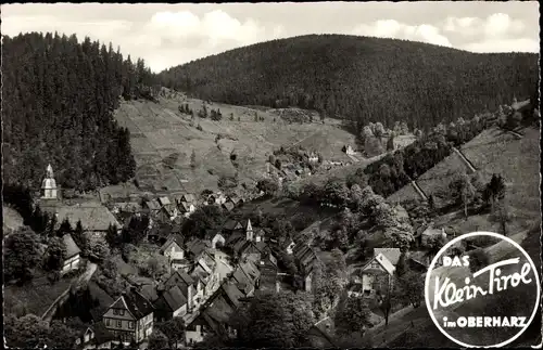 Ak Wildemann Clausthal Zellerfeld im Oberharz, Panorama, Das Klein Tirol im Oberharz