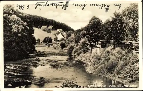Ak Tanne Oberharz am Brocken, Bode mit Jägerborn