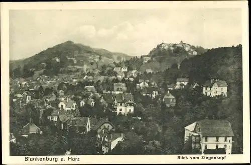 Ak Blankenburg am Harz, Blick vom Ziegenkopf, Panorama