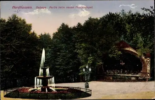 Ak Nordhausen am Harz, Gehege, Partie beim neuen Musiktempel