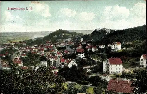 Ak Blankenburg am Harz, Panorama
