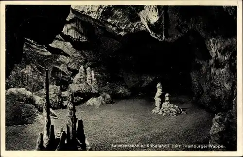 Ak Rübeland Oberharz am Brocken, Baumannshöhle, Hamburger Wappen