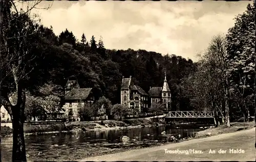 Ak Treseburg Thale im Harz, An der Halde