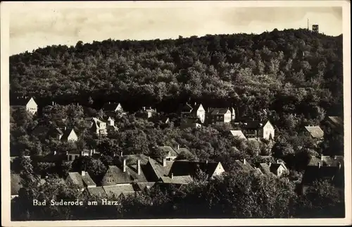 Ak Bad Suderode Quedlinburg im Harz, Panorama
