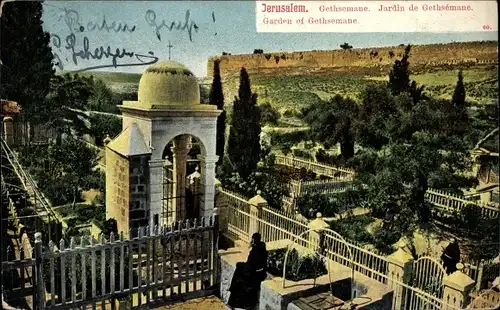 Ak Gethsemane Israel, Garden of Gethsemane, Jardin of Gethsemane