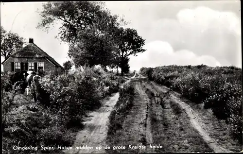 Ak Spier Wijster Drenthe, Huisje midden op de grote Kralose heide